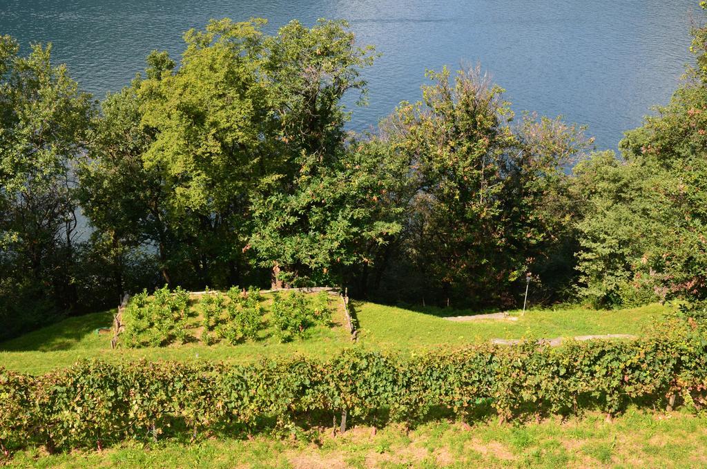 Tra Lago E Montagna Baita La Morena Nesso Exterior foto