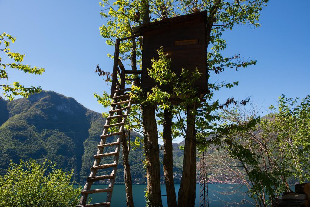 Tra Lago E Montagna Baita La Morena Nesso Exterior foto